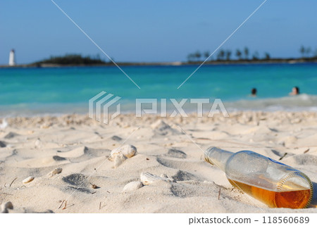 在海灘上尋寶 118560689
