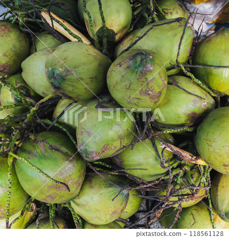 bunch of green drinking coconuts at street market in Vietnam in Asia 118561128