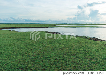 Marshes wetland of Thale Noi in Phatthalung, Thailand. Marshes wetland of Thale Noi in Phatthalung, Thailand. 118561450