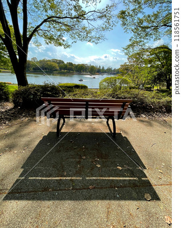 公園池塘和長凳 118561751