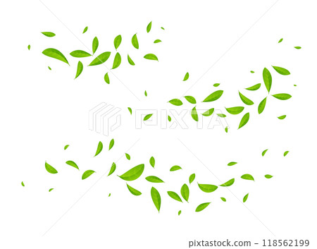Green tea vector background mint eco illustration. Organic green tea flying leaf fresh concept 118562199