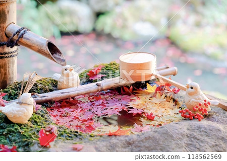 The cutest spots in autumn 118562569