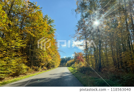 Autumn road in the forest. Beautiful autumn landscape with road. Autumn road in the forest. Beautiful autumn landscape with road. 118563040