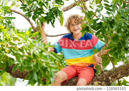 Boy climbing tree in park. Kids explore nature. 118563183