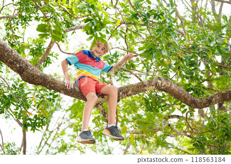Boy climbing tree in park. Kids explore nature. Boy climbing tree in park. Kids explore nature. 118563184