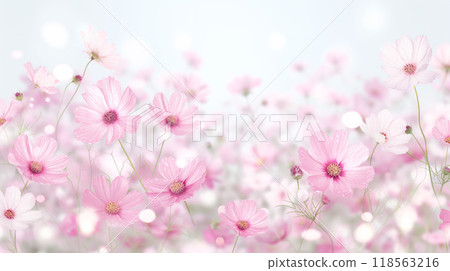 A field of pink flowers with a blurry background enhancing their charm. Copy space 118563216