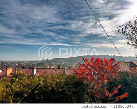 Autumn landscape with a view of the city from the observation deck in the city of Przemysl, Poland Autumn landscape with a view of the city from the observation deck in the city of Przemysl, Poland 118563242