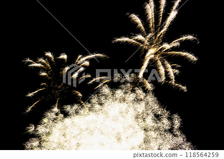 Fireworks lighting up the night sky. Pyrotechnics, abstract Fireworks lighting up the night sky. Pyrotechnics, abstract 118564259