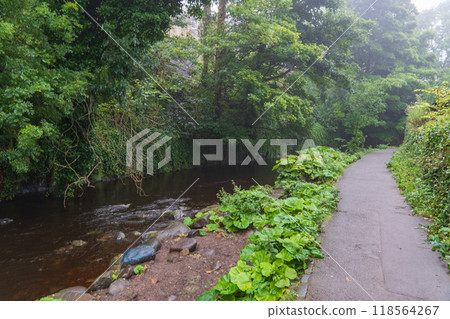 The city of Edinburgh in scotland 118564267