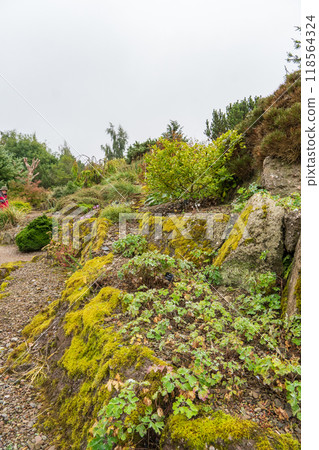 The city of Edinburgh in scotland 118564324