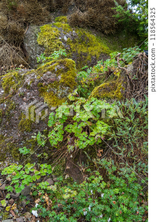 The city of Edinburgh in scotland 118564325