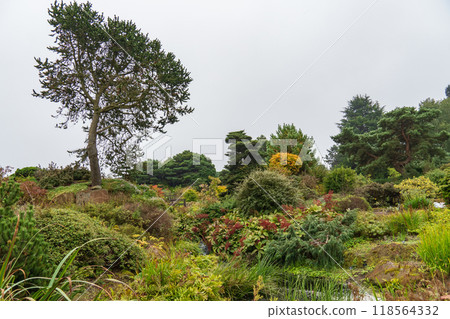 The city of Edinburgh in scotland 118564332