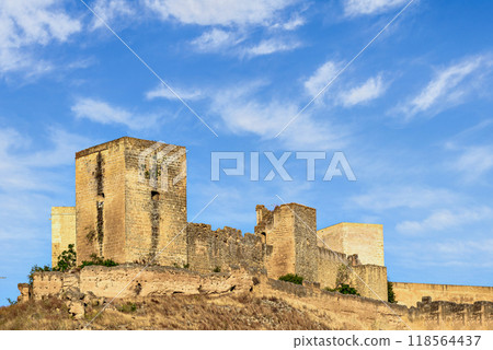 building, castle, ruins 118564437