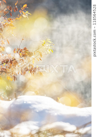 水面上的落葉 - 秋冬彩色影像(翁原湖周圍) 水面上的落葉 - 秋冬彩色影像(翁原湖周圍) 118564528