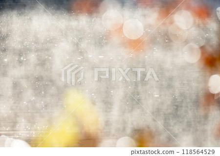 Fallen leaves on the water surface - Autumn/winter colors (around Lake Onbara) Fallen leaves on the water surface - Autumn/winter colors (around Lake Onbara) 118564529