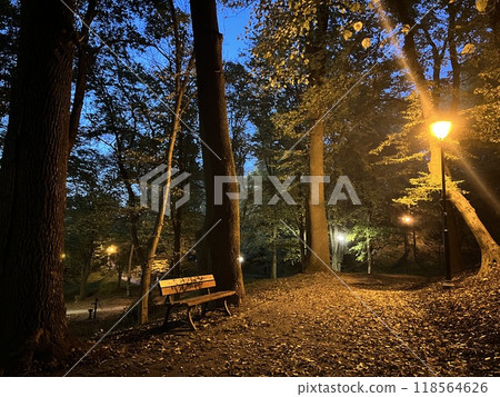 Autumn park at night with a bench and trees in the foreground in Przemysl Autumn park at night with a bench and trees in the foreground in Przemysl 118564626