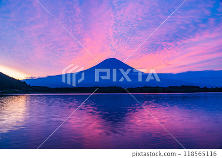 [Shizuoka Prefecture] Dawn at Mount Fuji and Lake Tanuki in early autumn 118565116