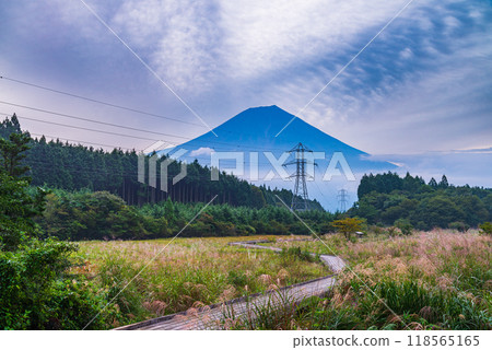 [Shizuoka Prefecture] Odanuki Marsh and Mt. Fuji in early autumn 118565165