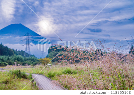 [靜岡縣]初秋的小田貫沼澤和富士山 118565168