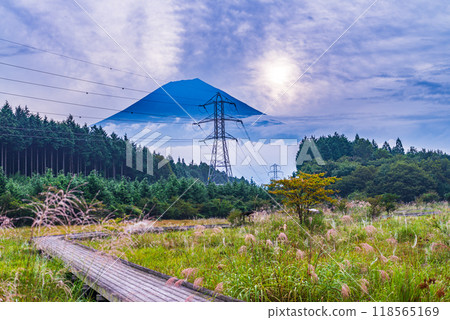 [Shizuoka Prefecture] Odanuki Marsh and Mt. Fuji in early autumn 118565169