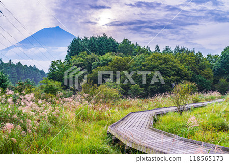 [Shizuoka Prefecture] Odanuki Marsh and Mt. Fuji in early autumn 118565173
