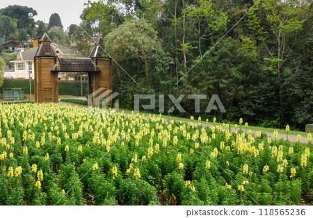 Curitiba, Brazil: Tingui park and the Ukrainian Memorial. 118565236