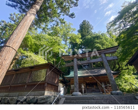 The eccentric strength immovable wrapping in fresh green The eccentric strength immovable wrapping in fresh green 118565611