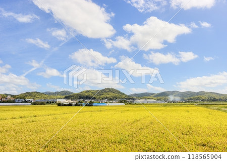 鄉村景觀 118565904