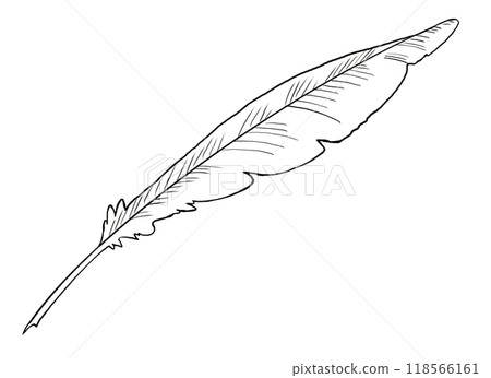 鵝毛筆線描插圖 118566161
