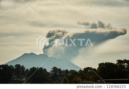 Sakurajima erupts with smoke 118566225