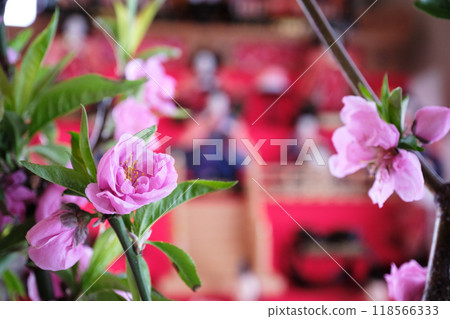 可愛的粉紅色桃花和春天 可愛的粉紅色桃花和春天 118566333