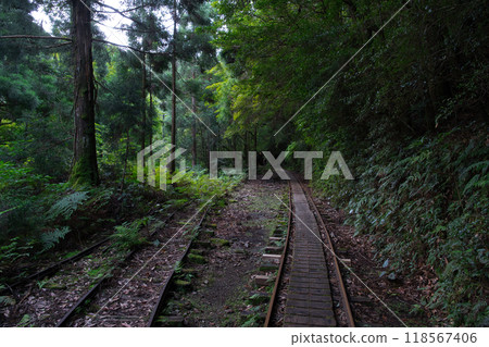 Truck road of Yakushima 118567406
