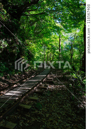 屋久島的卡車路 118567408