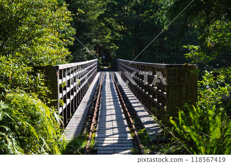 The trolley bridge on Yakushima 118567419
