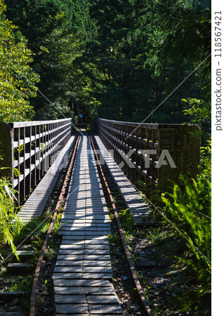 The trolley bridge on Yakushima 118567421