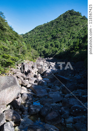 小杉谷村遺址附近的屋久島溪流 118567425
