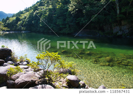 Yakushima: The surface of the Anbo River along the trolley road 118567431