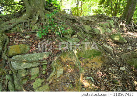 庫魯瓦、殘存的石牆、山崎城、天王山的景色，世界的分界點 118567435