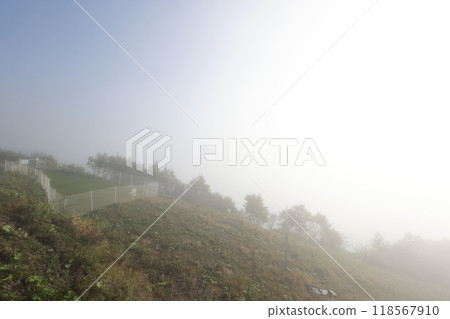 晨霧籠罩的風景 118567910