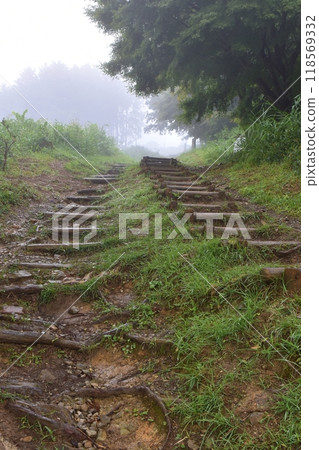 通往滋賀縣靜嶽山頂的山路 通往滋賀縣靜嶽山頂的山路 118569332