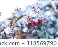 雪和南部的天空 118569790