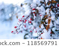 雪和南部的天空 118569791