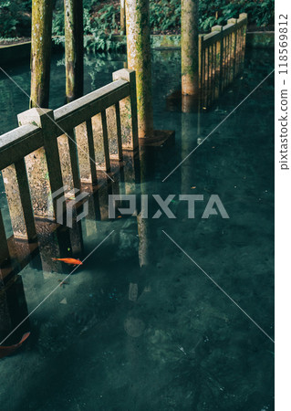 鹿島神社御手洗池禦手洗池(茨城縣鹿島市) 鹿島神社御手洗池禦手洗池(茨城縣鹿島市) 118569812
