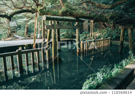 Kashima Shrine, Mitarashi Pond (Kashima City, Ibaraki Prefecture) 118569814