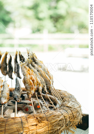 Salt-grilled salmon 118570004