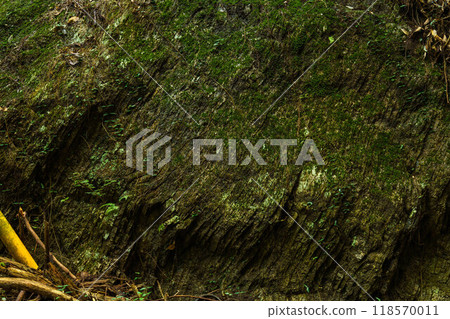 有斷層的大岩面 118570011