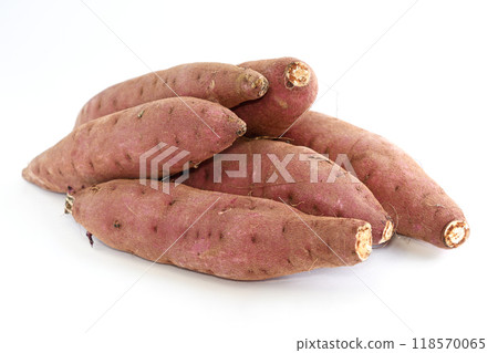 Sweet potato (Kuri Kaguya) 118570065