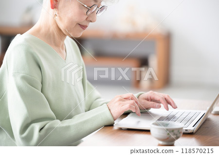 Senior woman operating a computer in a beautiful living room, close-up of upper body and hands typing 118570215