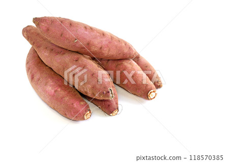 Sweet potato (Kuri Kaguya) 118570385