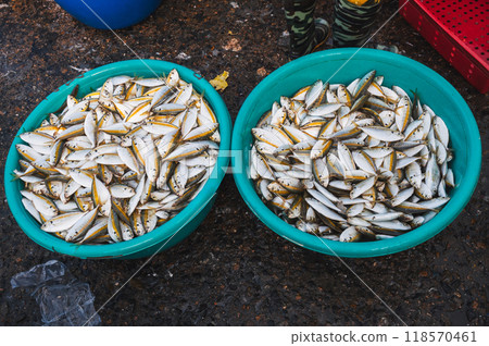 traditional fresh Vietnamese sea fish in basins at street fish market in Asia in Vietnam 118570461